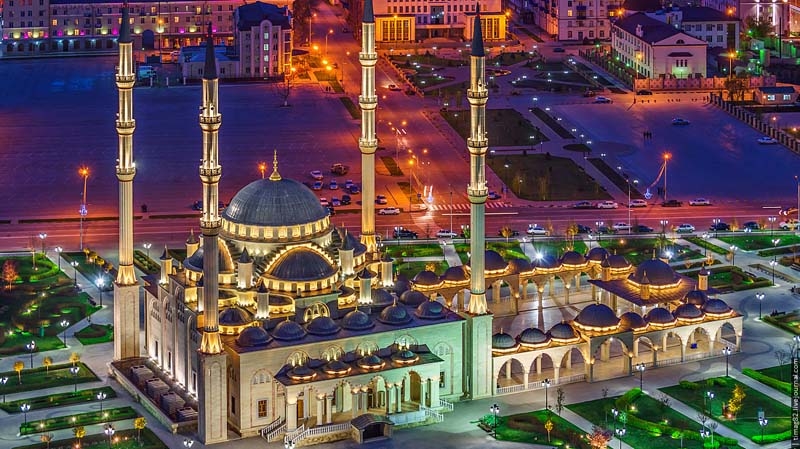 الرئيسية